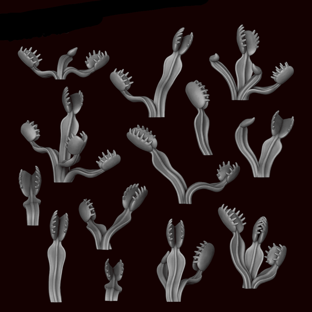 Venus Fly Trap - Archies Forge