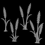 Wheat - Archies Forge