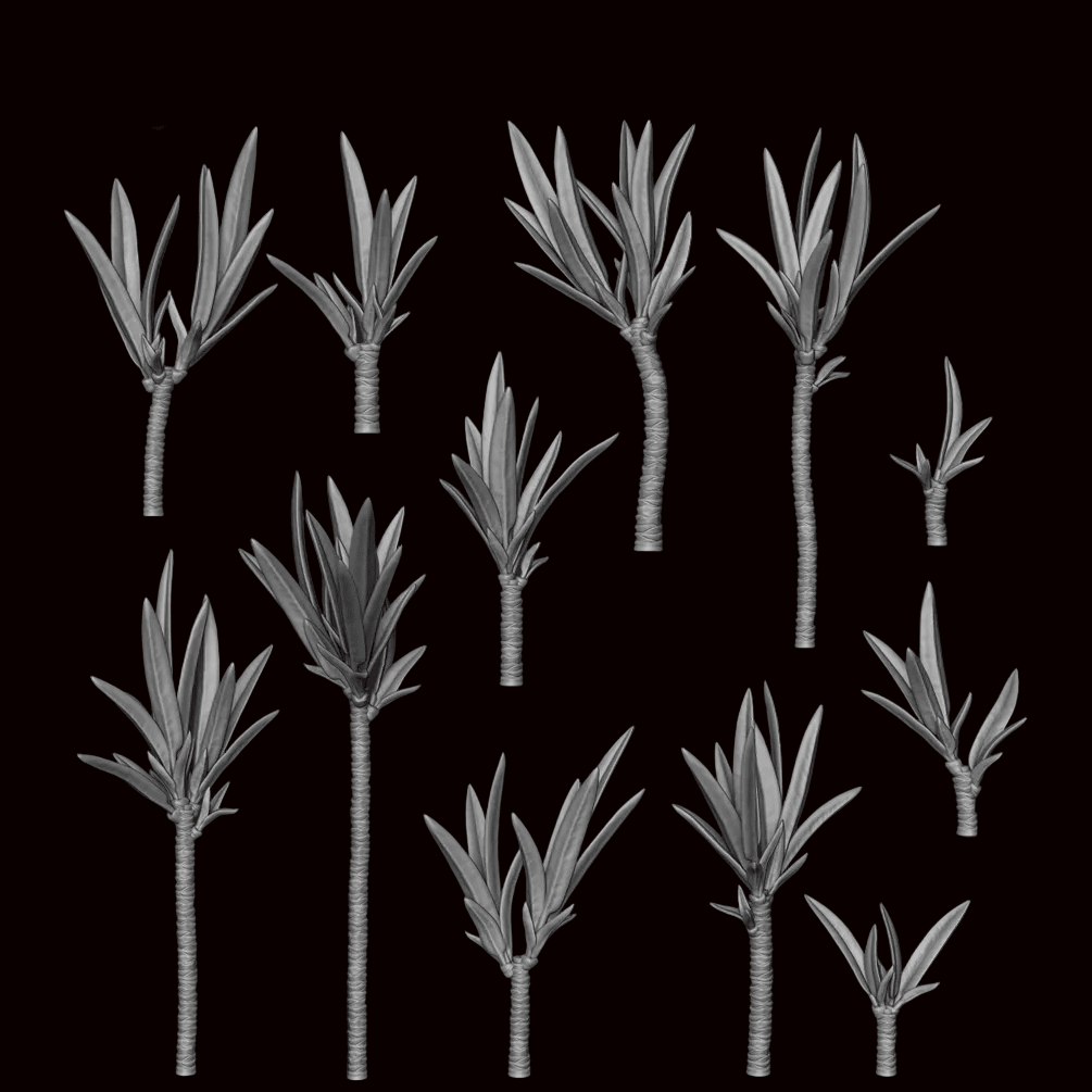 Yucca - Archies Forge